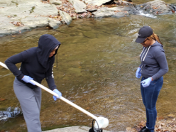 Student researchers in the Laboratory for Environmental Contaminants