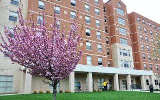 Pink blossoming tree in front of the red brick exterior of the Guilbert A. Daley Residence Hall on the campus of Coppin State University