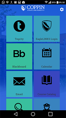 Screenshot of main Eagle Mobile screen with blue and green square icons 
