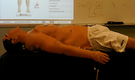 Male mannekin wearing white shorts laying on a table in front of a digital screen with anatomy graphics on it