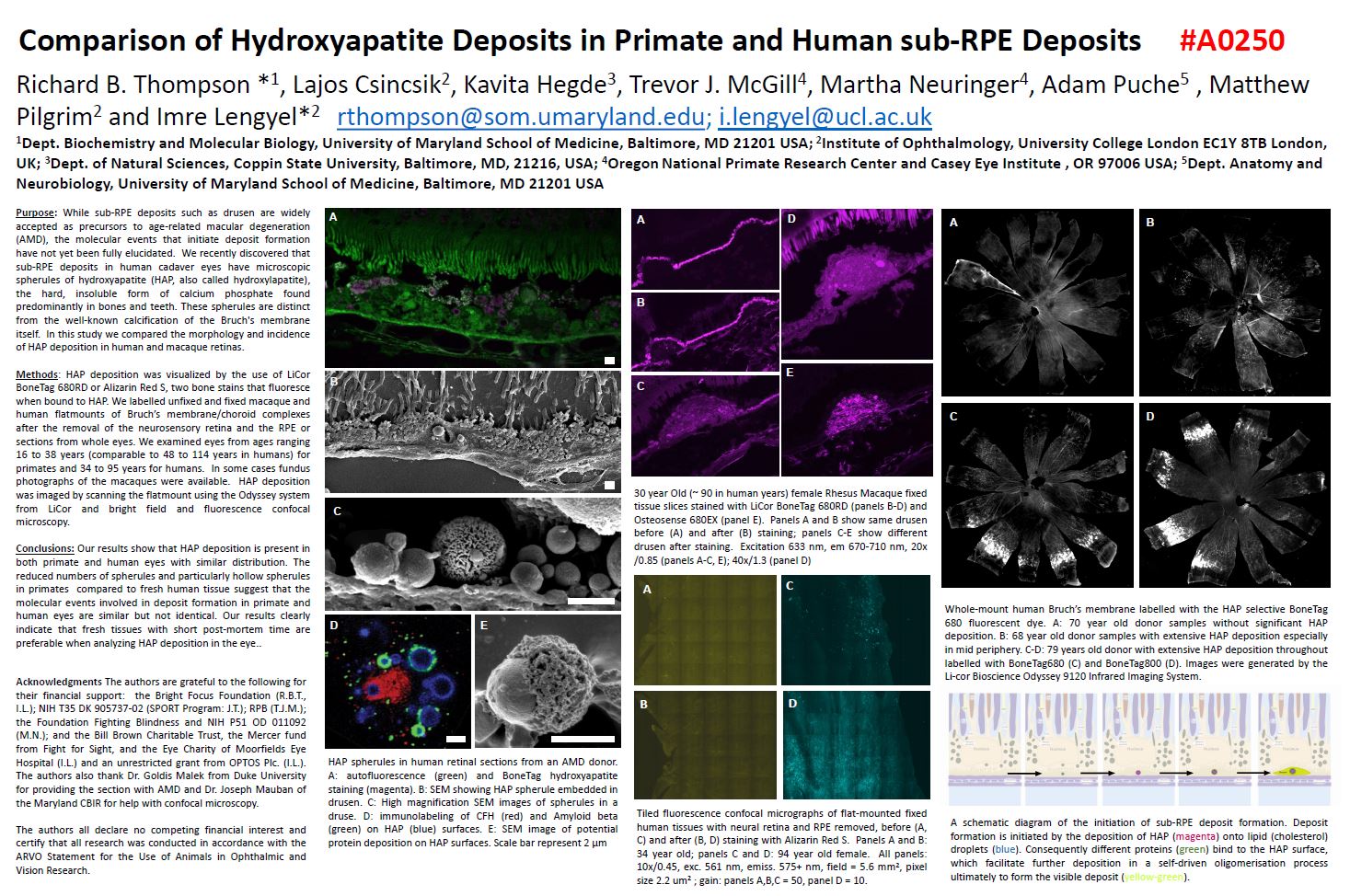 Comparison_Hydroxyapaptite_Deposits