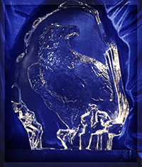 The Distinguished Eagle Award