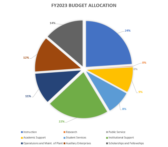 Present allocation by Program