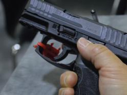 Gun