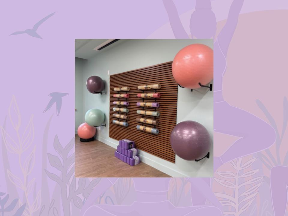 SHECare Wellness Pod wellness equipment