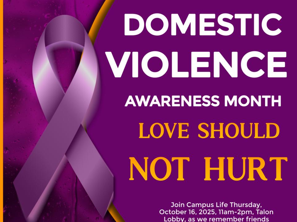 2025 Domestic Violence Awareness