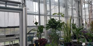The Laboratory for Environmental Contaminants greenhouse