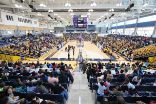 Basketball Arena