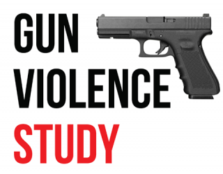 Gun Violence Study