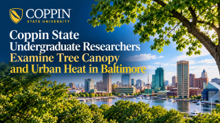 Coppin Researchers Explore Baltimore’s Urban Canopy.png